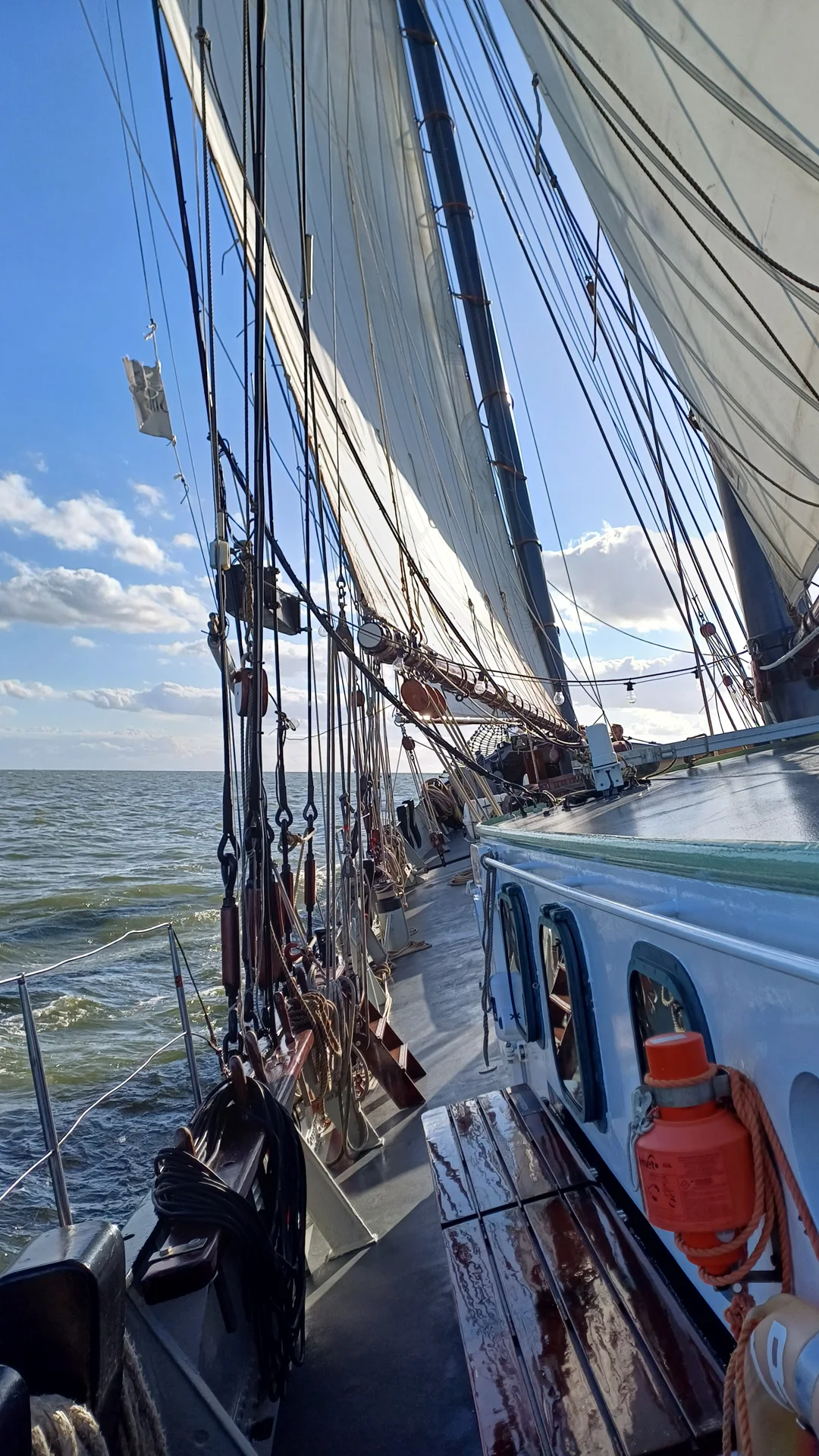 Segelschiff Iris auf der Ostsee